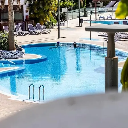 Sunny Holiday Pool